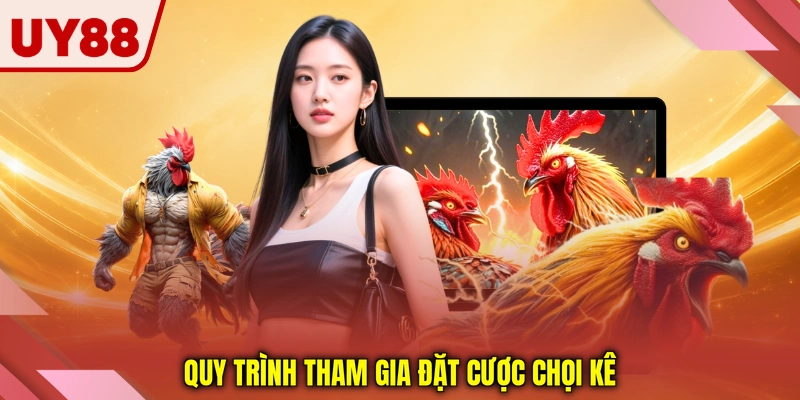 Quy trình tham gia đặt cược chọi kê Quy trình tham gia đặt cược chọi kê